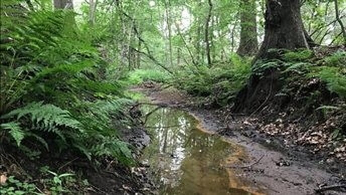 Droogte houdt aan, waterschap alert - Foto: Ingezonden foto