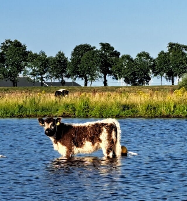 De Vecht - Foto: Ingezonden foto