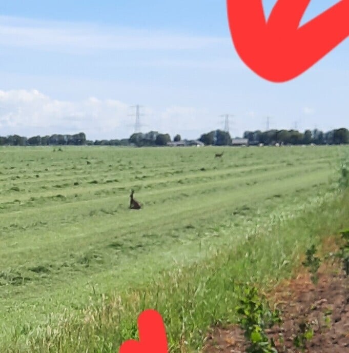 Vluchtstrook - Foto: Gruune Jopie