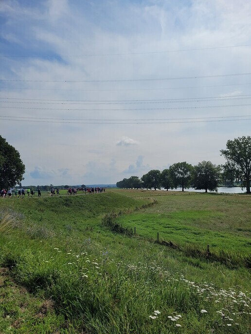 Nijmeegse vierdaagse verslag dag 4 - Foto: Ingezonden foto