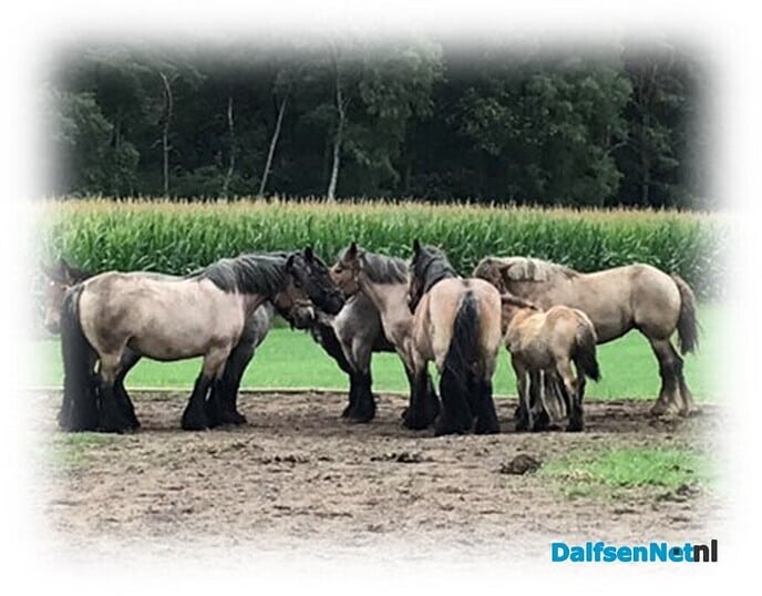 Kringgesprek … - Foto: Willie uut Hessum
