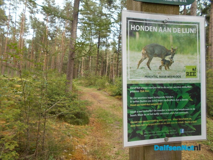 De bospaden zijn weer mooi kort geschoren