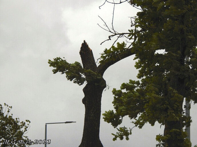 Storm houdt huis in de regio.