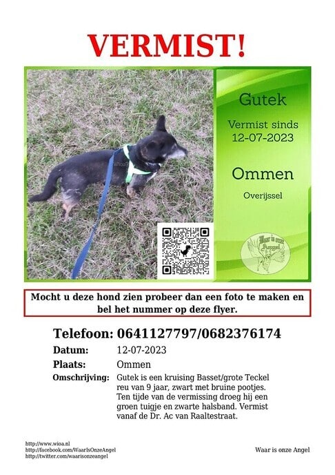 Vermiste hond Gutek: al 12 dagen zoek - Foto: Ingezonden foto