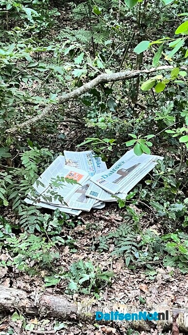 Kabouters lezen ook de krant - Foto: Ingezonden foto