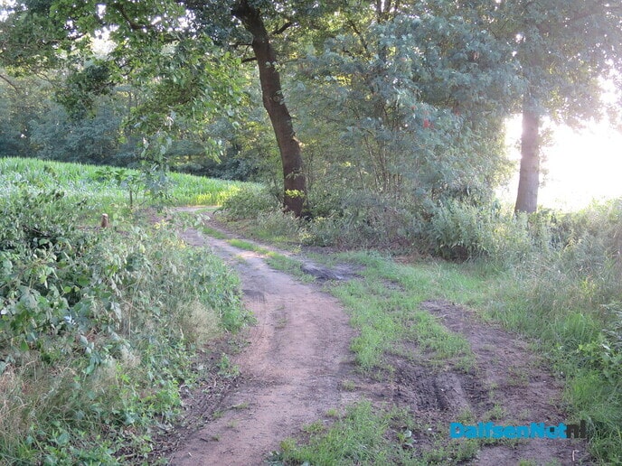 Wandelen via de oude Koningsweg en Kogelvanger - Foto: Wim