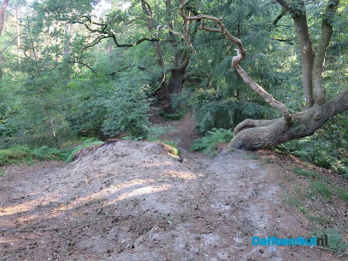 Wandelen via de oude Koningsweg en Kogelvanger - Foto: Wim