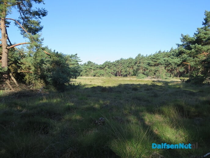 Wandelen via de oude Koningsweg en Kogelvanger - Foto: Wim