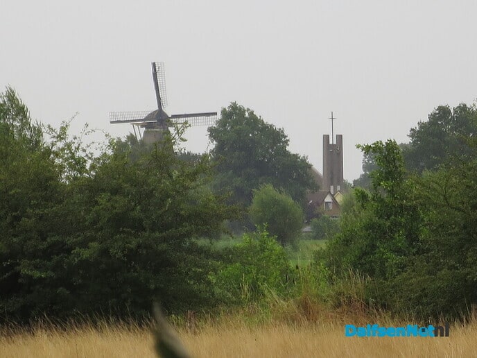Een miezerige zondagmorgen, goed voor de mais - Foto: Wim