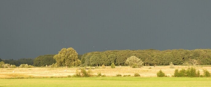 Gisteravond op de Stokte - Foto: Ingezonden foto
