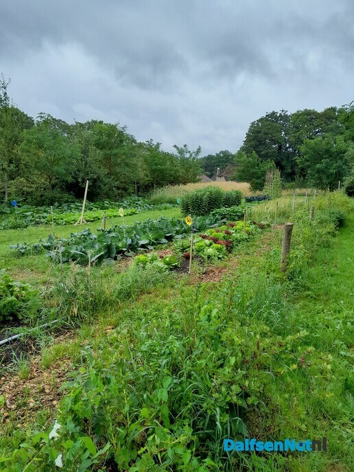 PLUK de dag bij Decohof - Foto: Ingezonden foto