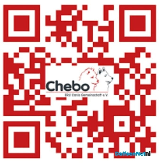 Internationaal Chebo-treffen in Dalfsen - Foto: Ingezonden foto