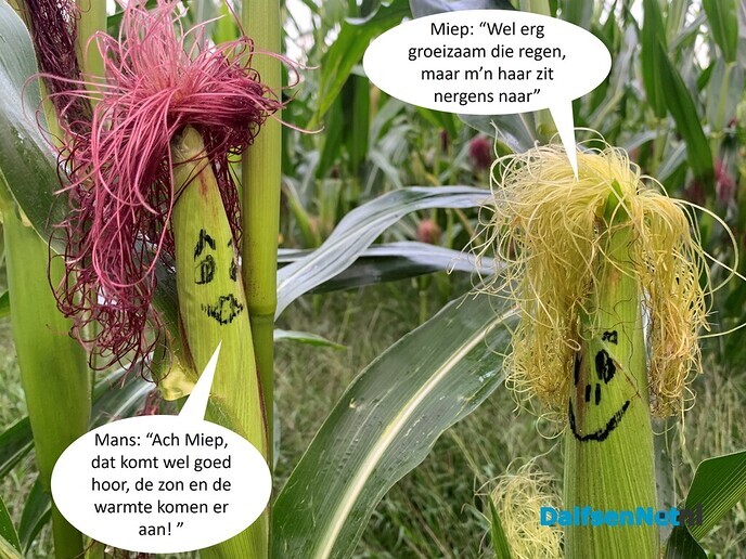 Nieuws uit het buitengebied van familie M - Foto: Ingezonden foto