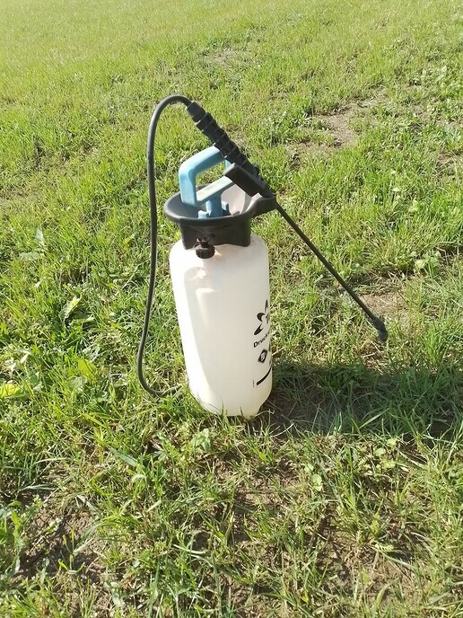 Eem biehaoln - Foto: Ton S
