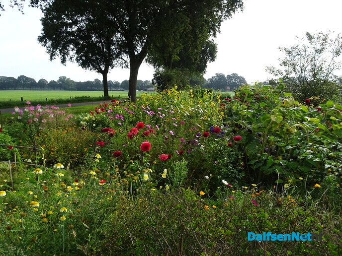 Het parelde op Bellingeweer - Foto: Ingezonden foto