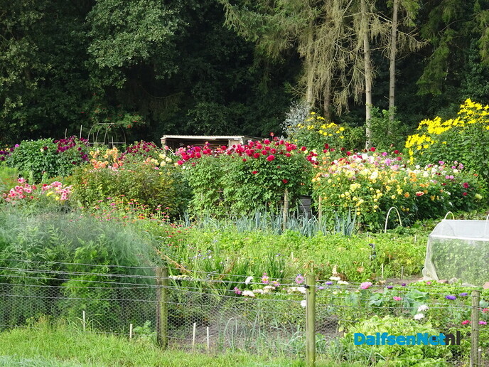 Het parelde op Bellingeweer - Foto: Ingezonden foto