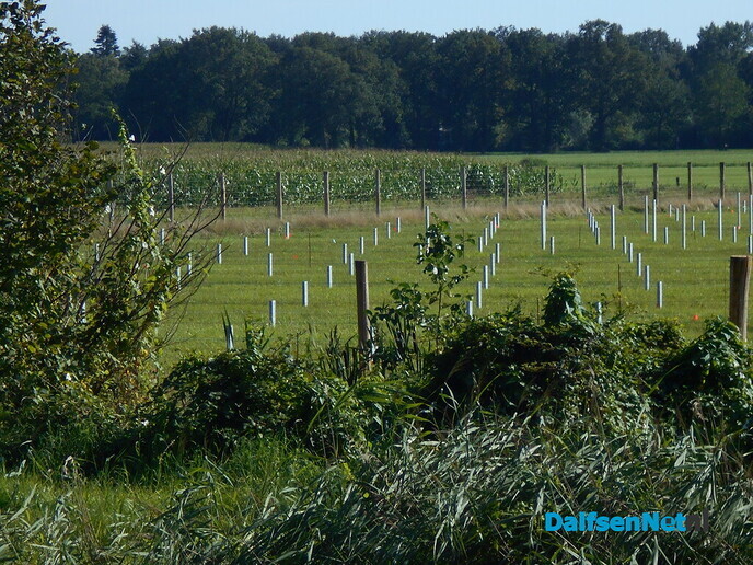 Zonnepark in de gemeente Raalte bij Dalfsen