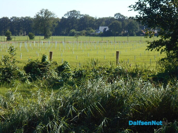Zonnepark in de gemeente Raalte bij Dalfsen