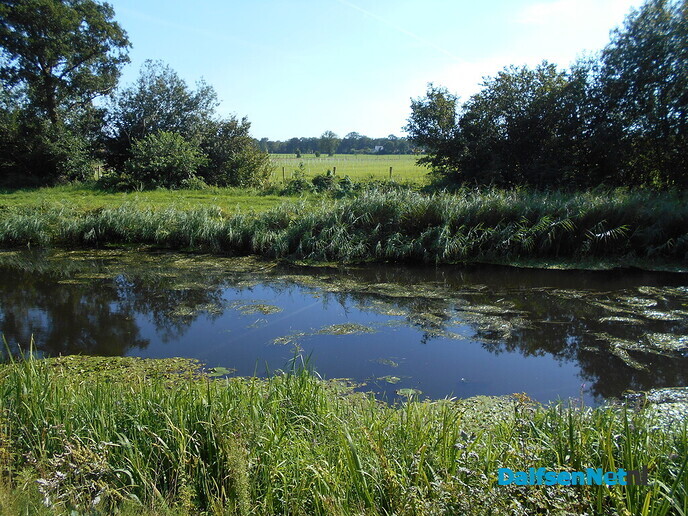 Zonnepark in de gemeente Raalte bij Dalfsen