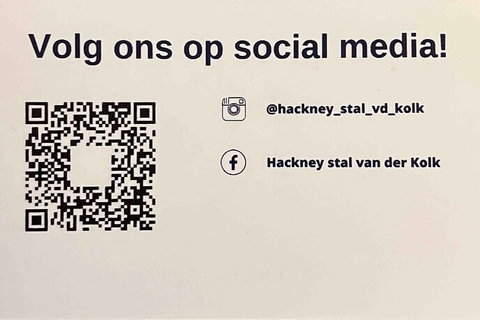 De hobby van Gerrit van der Kolk: Hackney pony’s - Foto: Paul Scholten