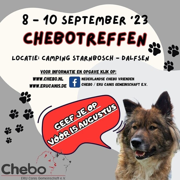 Internationaal Chebo-treffen in Dalfsen
