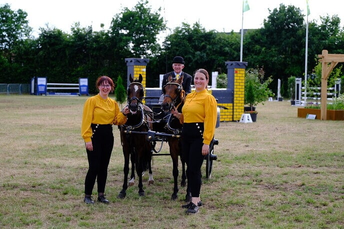 De hobby van Gerrit van der Kolk: Hackney pony’s - Foto: Eigen geleverde foto