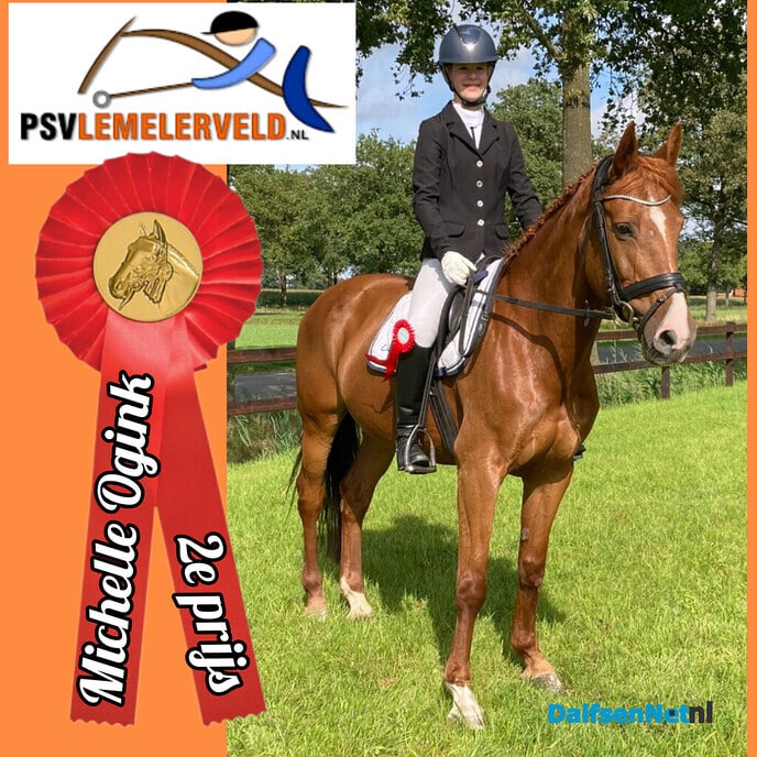 Sportverslag Paardensportvereniging Lemelerveld - Foto: Ingezonden foto