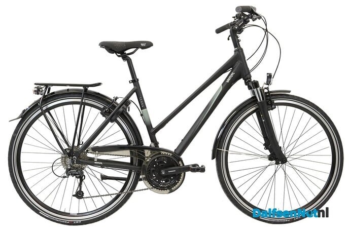 Zwarte damesfiets gestolen - Foto: Ingezonden foto