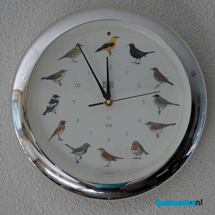 De hobby van Jos Scholten: vogels en (nacht)vlinders - Foto: Paul Scholten