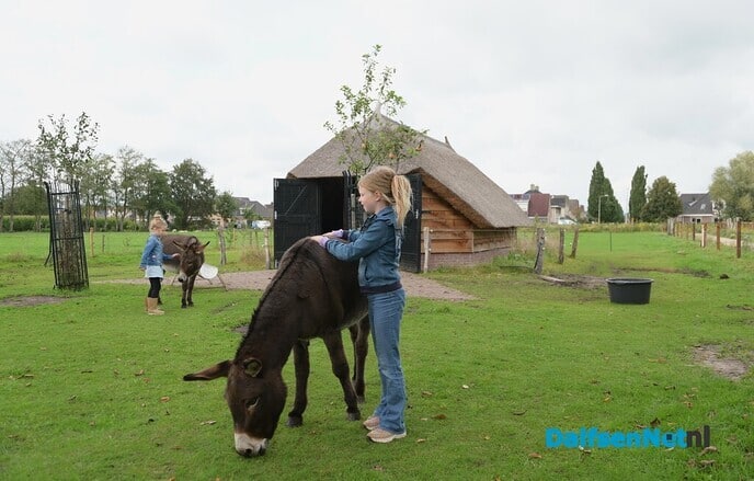 Geslaagde dag met veel activiteiten tijdens Beleef Nieuwleusen - Foto: Johan Bokma