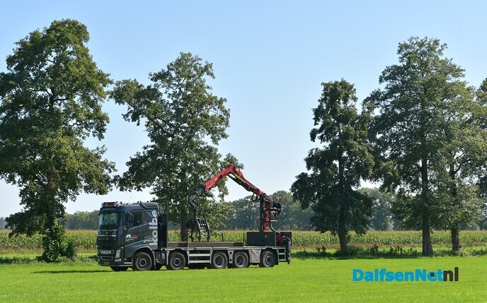 Een nevelige zondagmorgen - Foto: Johan Bokma