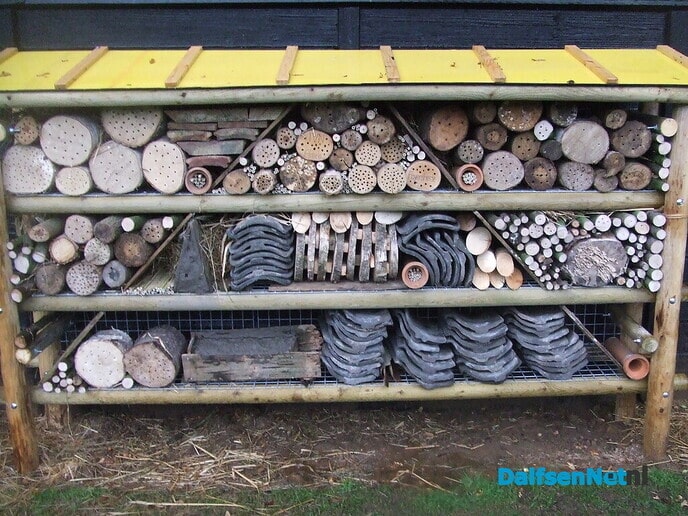 Landgoed “De Horte” en het ontstaan van het gebied - Foto: Wim