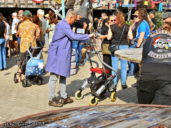 Dutch cigarbox festival Delta Calluna 2023