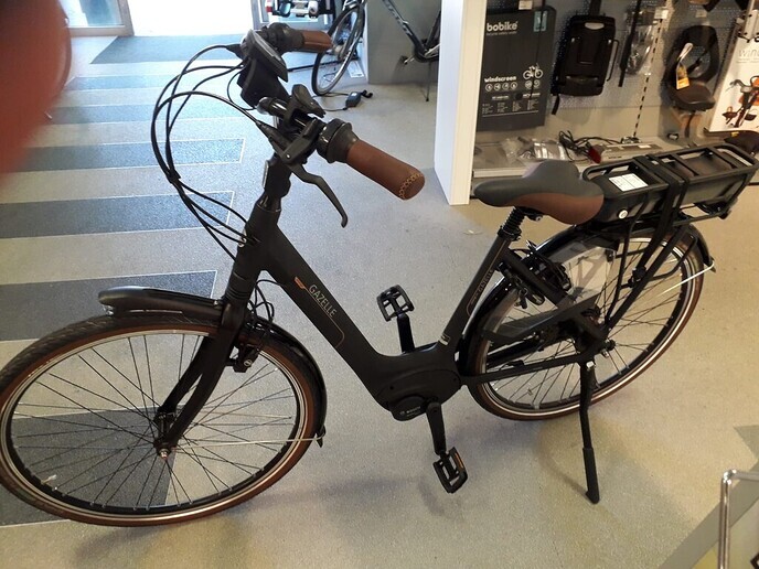 Elektrische fiets Gestolen - Foto: Eigen geleverde foto