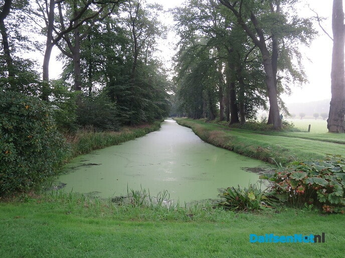 Een nevelige zondagmorgen - Foto: Wim