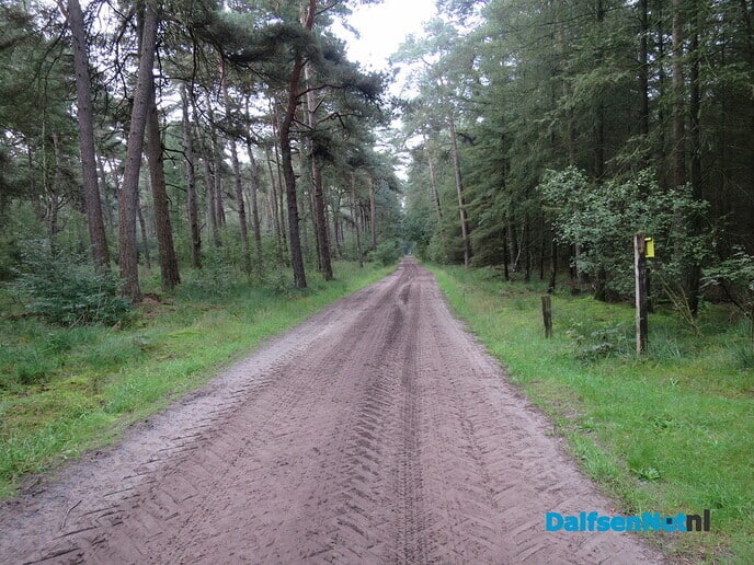 Prachtige heidewandeling vanaf Het Boskamp - Foto: Wim
