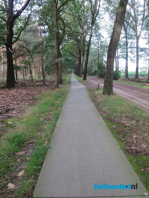 Prachtige heidewandeling vanaf Het Boskamp - Foto: Wim