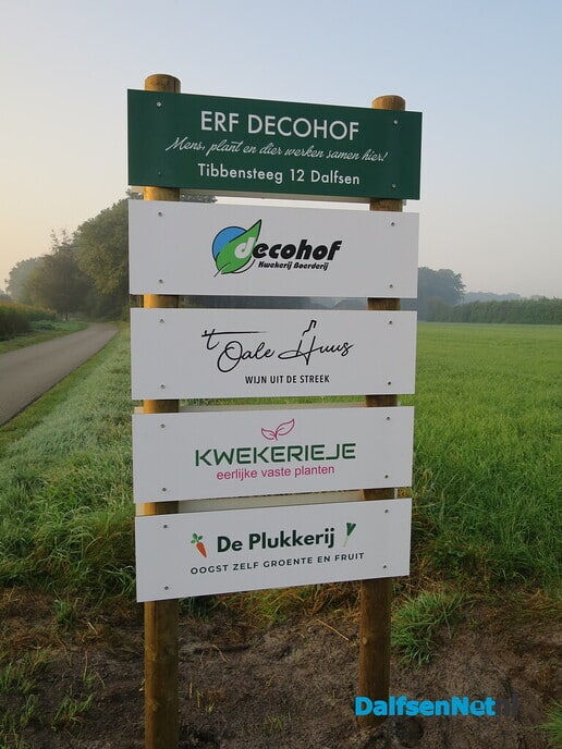 Een nevelige zondagmorgen - Foto: Wim