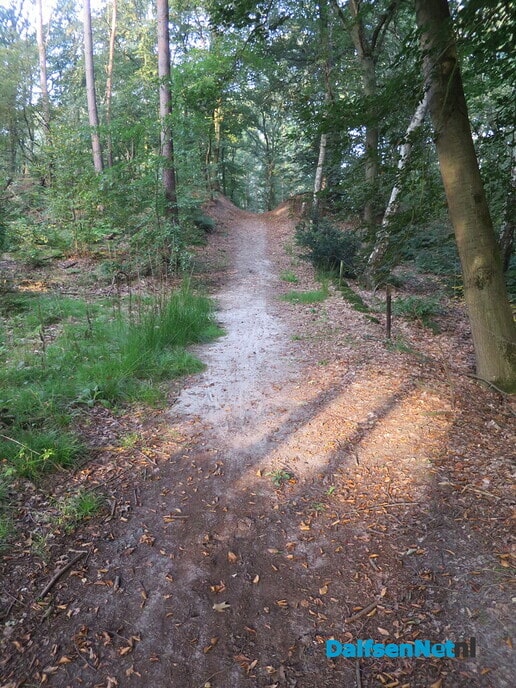 Een nevelige zondagmorgen - Foto: Wim