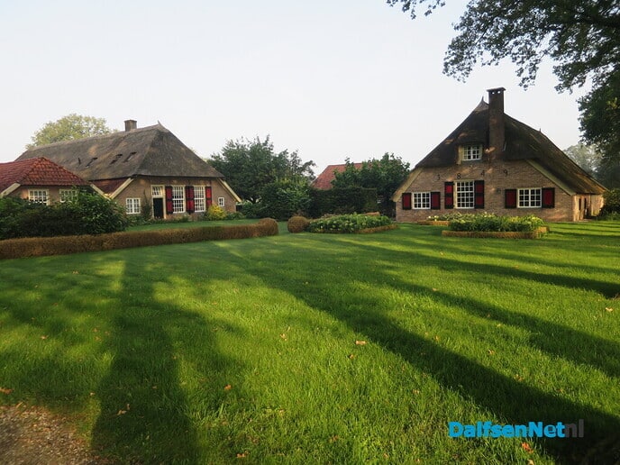 Een nevelige zondagmorgen - Foto: Wim