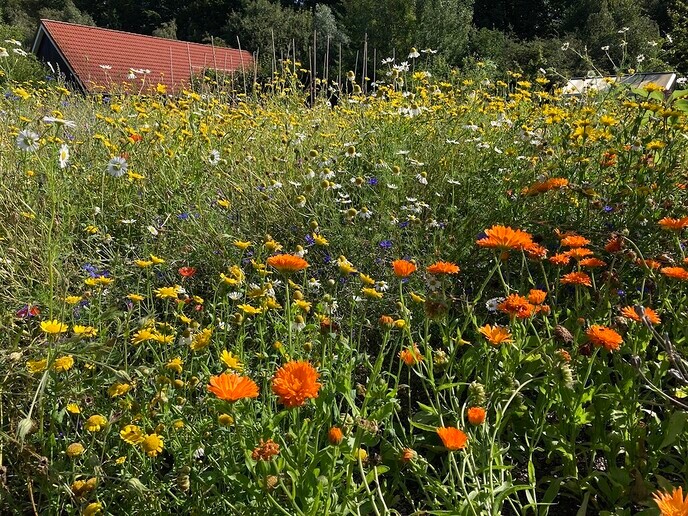 Hoe je kunt helpen bij Natuurboerderij Lindehoeve - Foto: Ingezonden foto