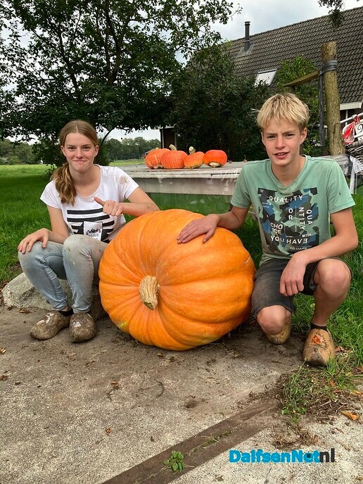 Pompoenen - Foto: Ingezonden foto