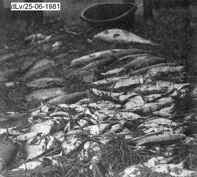 Tapioca mileuramp, kanaal verhaal 1981 - Foto: Ingezonden foto