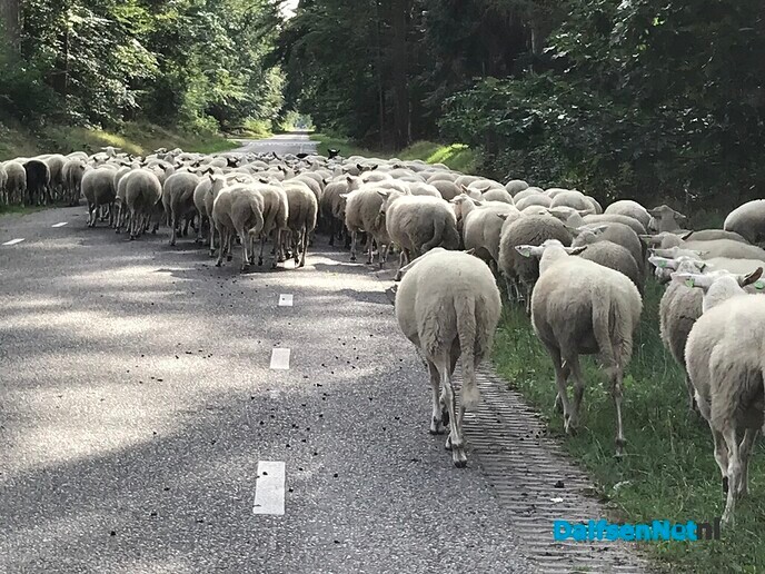 Bij mekaar blijven…. - Foto: Ingezonden foto