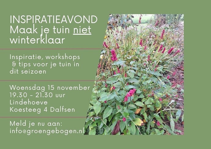 Maak je tuin niet winterklaar - Foto: Ingezonden foto