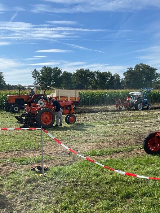 Hakseldag Loonbedrijf De Slappe Straal - Foto: Wim Jansen