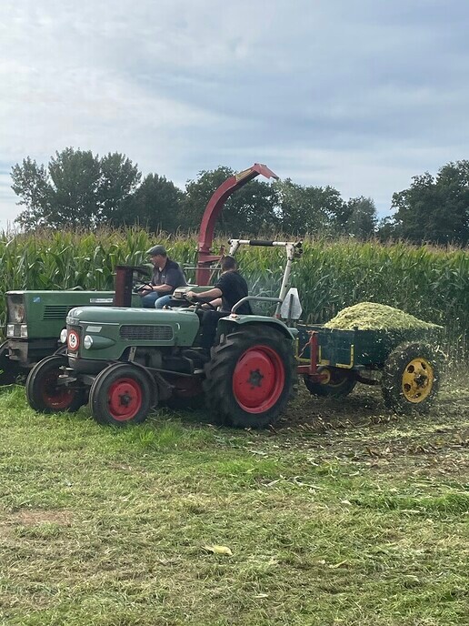 Hakseldag Loonbedrijf De Slappe Straal - Foto: Wim Jansen