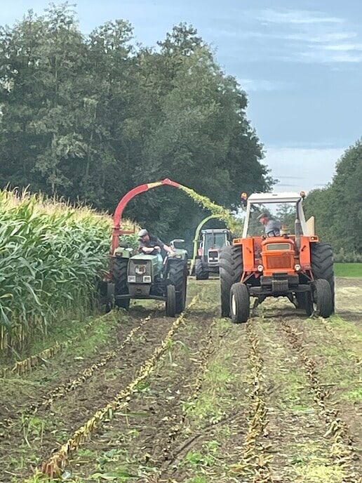 Hakseldag Loonbedrijf De Slappe Straal - Foto: Wim Jansen