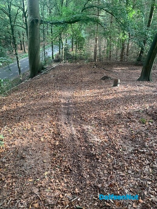 Motorcross op Landgoed Den Berg? - Foto: Ingezonden foto