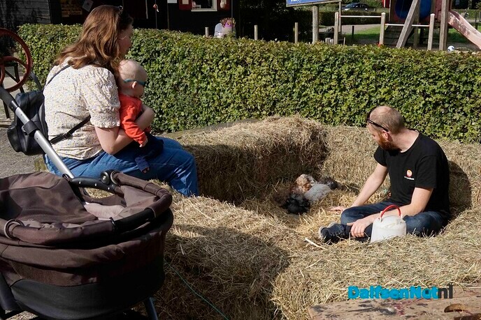 Veel belangstelling bij Natuurboerderij Lindehoeve - Foto: Paul Scholten
